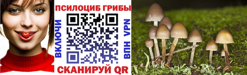 Псилоцибиновые грибы Psilocybine cubensis  Заволжск 