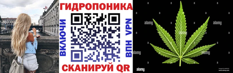 Марихуана марихуана Заволжск